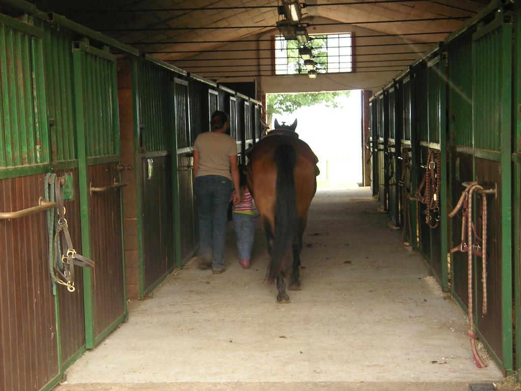 Agriturismo Fano'S Farm Suno ภายนอก รูปภาพ