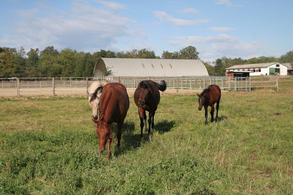 Agriturismo Fano'S Farm Suno ภายนอก รูปภาพ