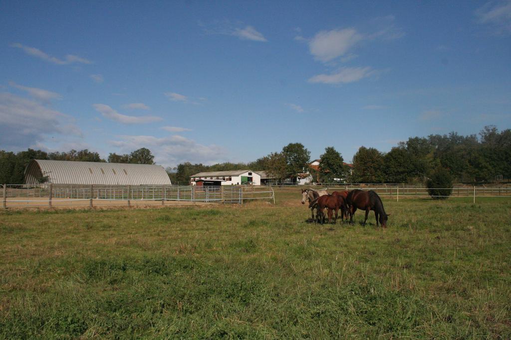 Agriturismo Fano'S Farm Suno ภายนอก รูปภาพ