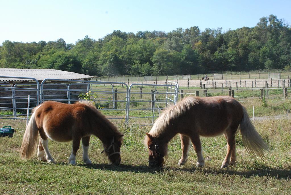 Agriturismo Fano'S Farm Suno ภายนอก รูปภาพ